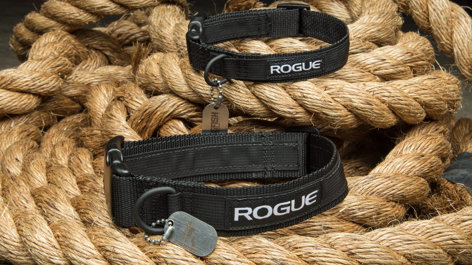 Rogue hotsell dog collar